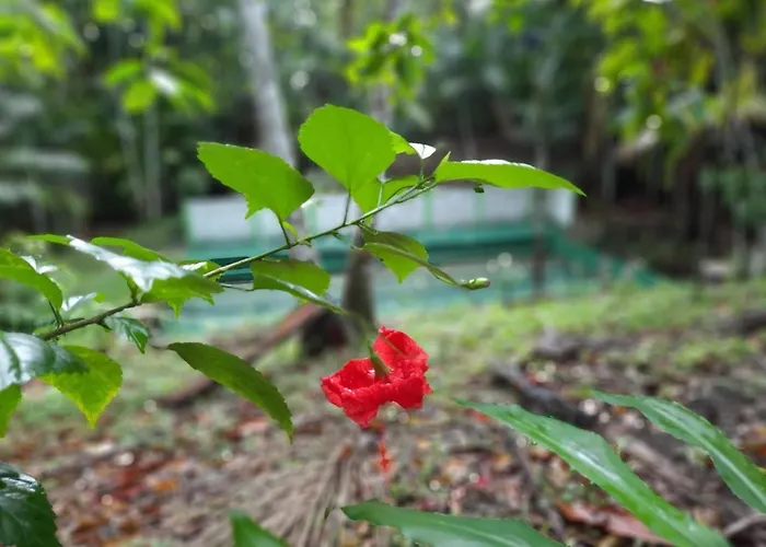 Eco Hotel Mãe De Sagui